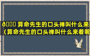 🐎 算命先生的口头禅叫什么来着（算命先生的口头禅叫什么来着呢 🪴 ）